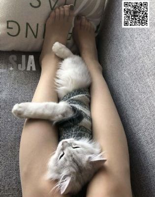 海底小纵队第七季免费观看_高清高清视频观看