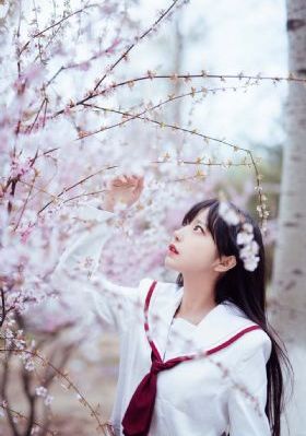 白日梦我电视剧在线观看免费视频_720天堂在线